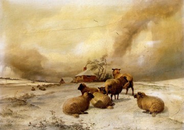  Cooper Pintura - Ovejas en un paisaje invernal ovejas animales de granja Thomas Sidney Cooper